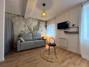 Studio en centre ville + wifi